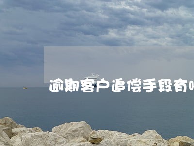 逾期客户追偿手段有哪些 逾期客户追偿手段有哪些