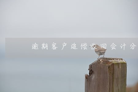 逾期客户追偿收回会计分录 逾期客户追偿收回会计分录