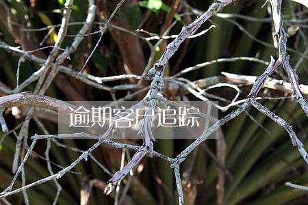 逾期客户追踪 逾期客户追踪