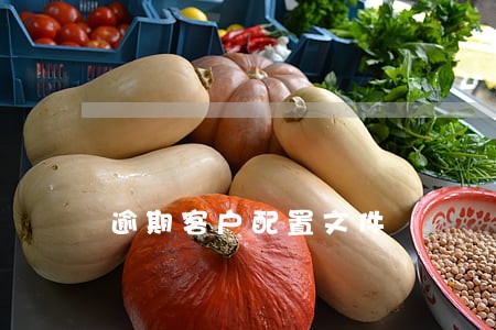 逾期客户配置文件 逾期客户配置文件