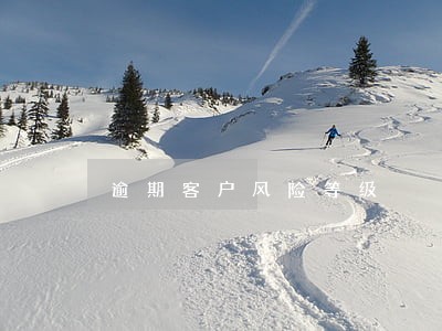 逾期客户风险等级 逾期客户风险等级