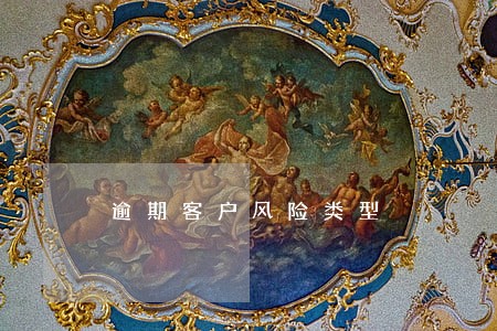 逾期客户风险类型 逾期客户风险类型