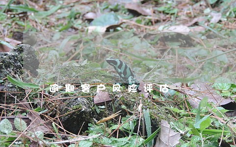 逾期客户风险评估 逾期客户风险评估