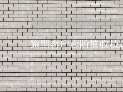 逾期客户高阶催收技巧 逾期客户高阶催收技巧