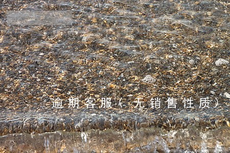 逾期客服(无销售性质)