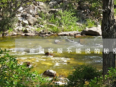 逾期客服不能说的秘密 逾期客服不能说的秘密