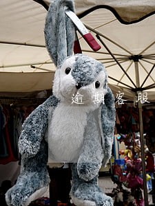 逾期客服主管 逾期客服主管