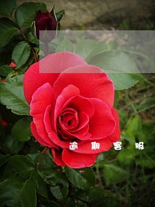 逾期客服催债说说 逾期客服催债说说