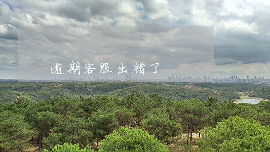 逾期客服出错了 逾期客服出错了