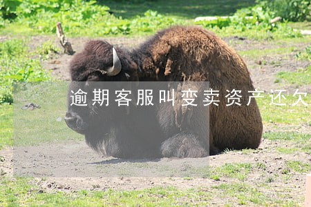 逾期客服叫变卖资产还欠款 逾期客服叫变卖资产还欠款