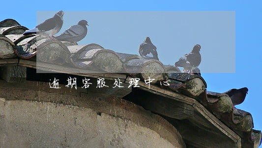 逾期客服处理中心 逾期客服处理中心