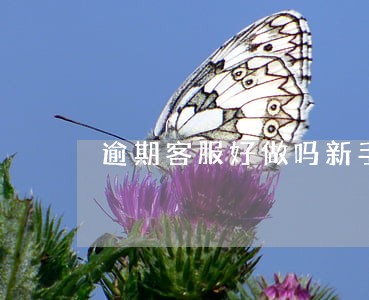 逾期客服好做吗新手 逾期客服好做吗新手