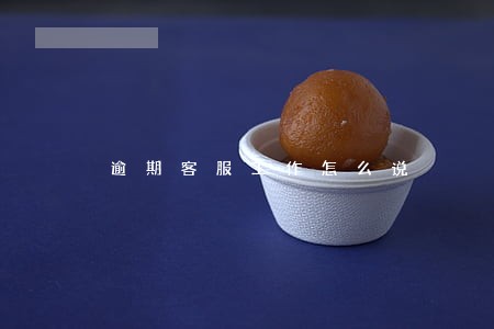 逾期客服工作怎么说