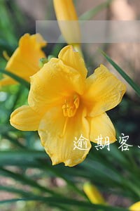 逾期客服工作视频