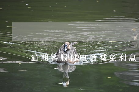 逾期客服打电话减免利息是真的吗 逾期客服打电话减免利息是真的吗
