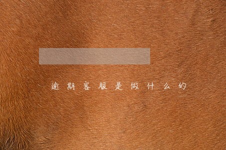 逾期客服是做什么的 逾期客服是做什么的