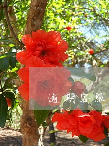逾期客服是干什么的 逾期客服是干什么的