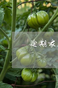 逾期家人不帮 逾期家人不帮