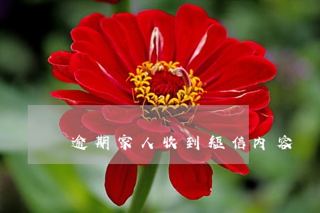 逾期家人收到短信内容 逾期家人收到短信内容