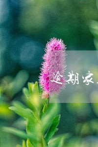 逾期家人被骚扰怎么办 逾期家人被骚扰怎么办