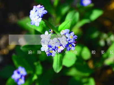 逾期家装水电一般多长时间到账 逾期家装水电一般多长时间到账