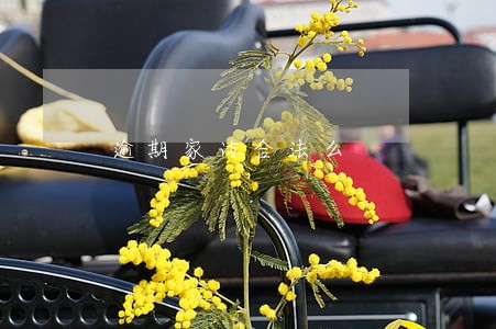 逾期家访合法么 逾期家访合法么