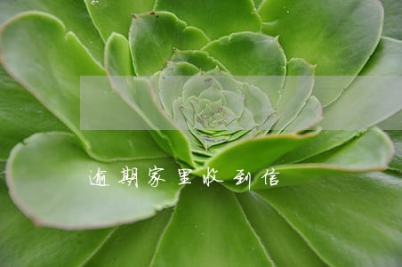逾期家里收到信 逾期家里收到信