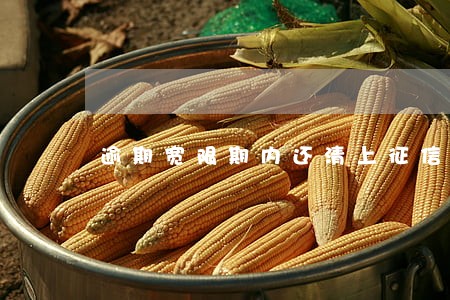 逾期宽限期内还清上征信吗 逾期宽限期内还清上征信吗