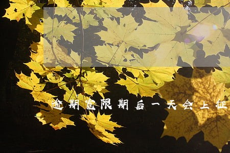 逾期宽限期后一天会上征信吗 逾期宽限期后一天会上征信吗