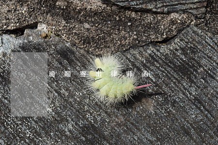 逾期寄出律师函 逾期寄出律师函