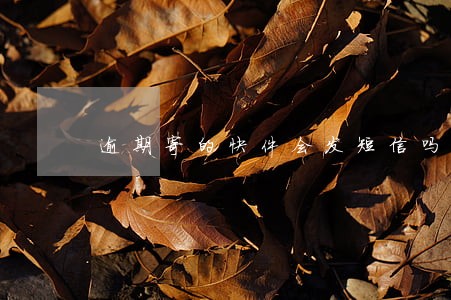 逾期寄的快件会发短信吗 逾期寄的快件会发短信吗