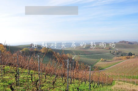 逾期对买房的影响吗