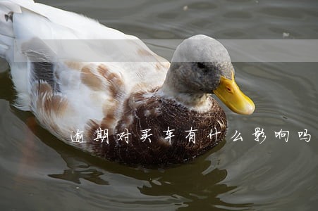 逾期对买车有什么影响吗 逾期对买车有什么影响吗