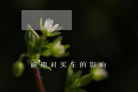 逾期对买车的影响 逾期对买车的影响