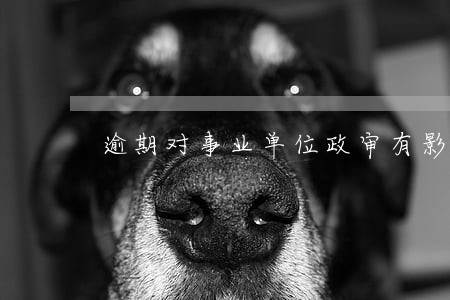 逾期对事业单位政审有影响没有