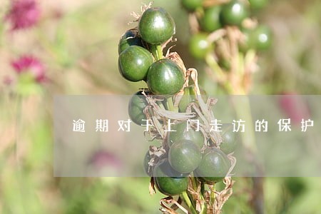 逾期对于上门走访的保护