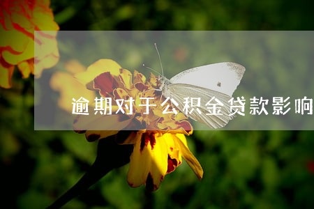 逾期对于公积金贷款影响大吗 逾期对于公积金贷款影响大吗
