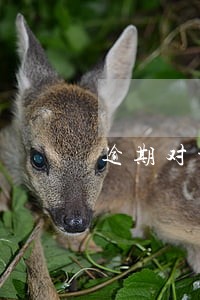 逾期对于贷款有影响吗 逾期对于贷款有影响吗