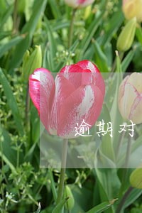 逾期对亲属名下财产冻结 逾期对亲属名下财产冻结