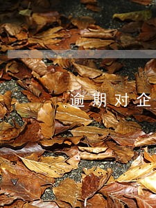逾期对企业有什么影响
