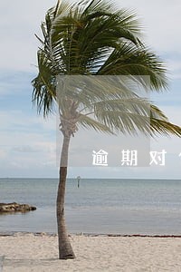 逾期对住房公积金的影响 逾期对住房公积金的影响