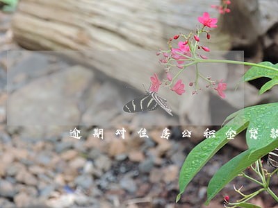 逾期对住房公积金贷款的影响吗 逾期对住房公积金贷款的影响吗