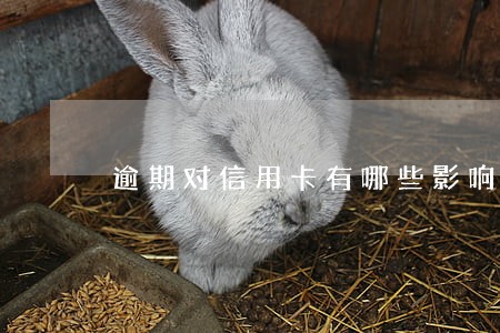 逾期对信用卡有哪些影响 逾期对信用卡有哪些影响