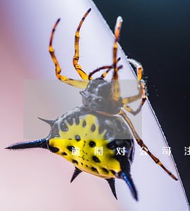 逾期对公司注册有影响吗 逾期对公司注册有影响吗