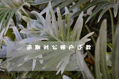 逾期对公账户还款 逾期对公账户还款