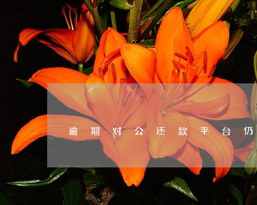 逾期对公还款平台仍 逾期对公还款平台仍