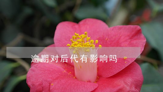 逾期对后代有影响吗 逾期对后代有影响吗