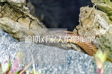 逾期对家人的影响吗 逾期对家人的影响吗
