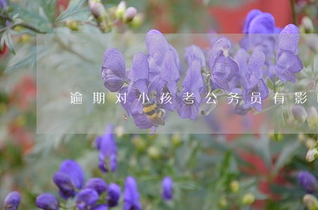 逾期对小孩考公务员有影响吗 逾期对小孩考公务员有影响吗