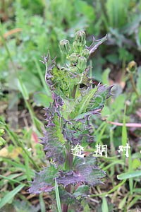逾期对小额贷款公司的影响 逾期对小额贷款公司的影响